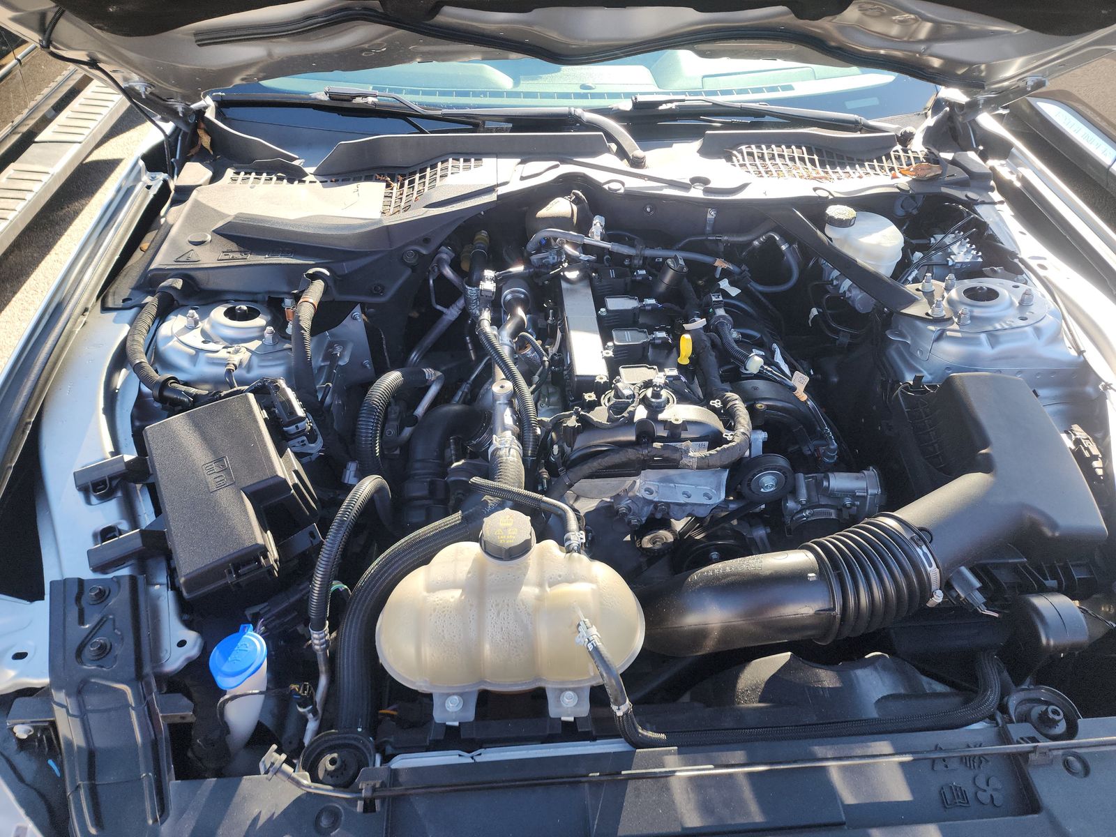 2023 Ford Mustang EcoBoost Premium RWD