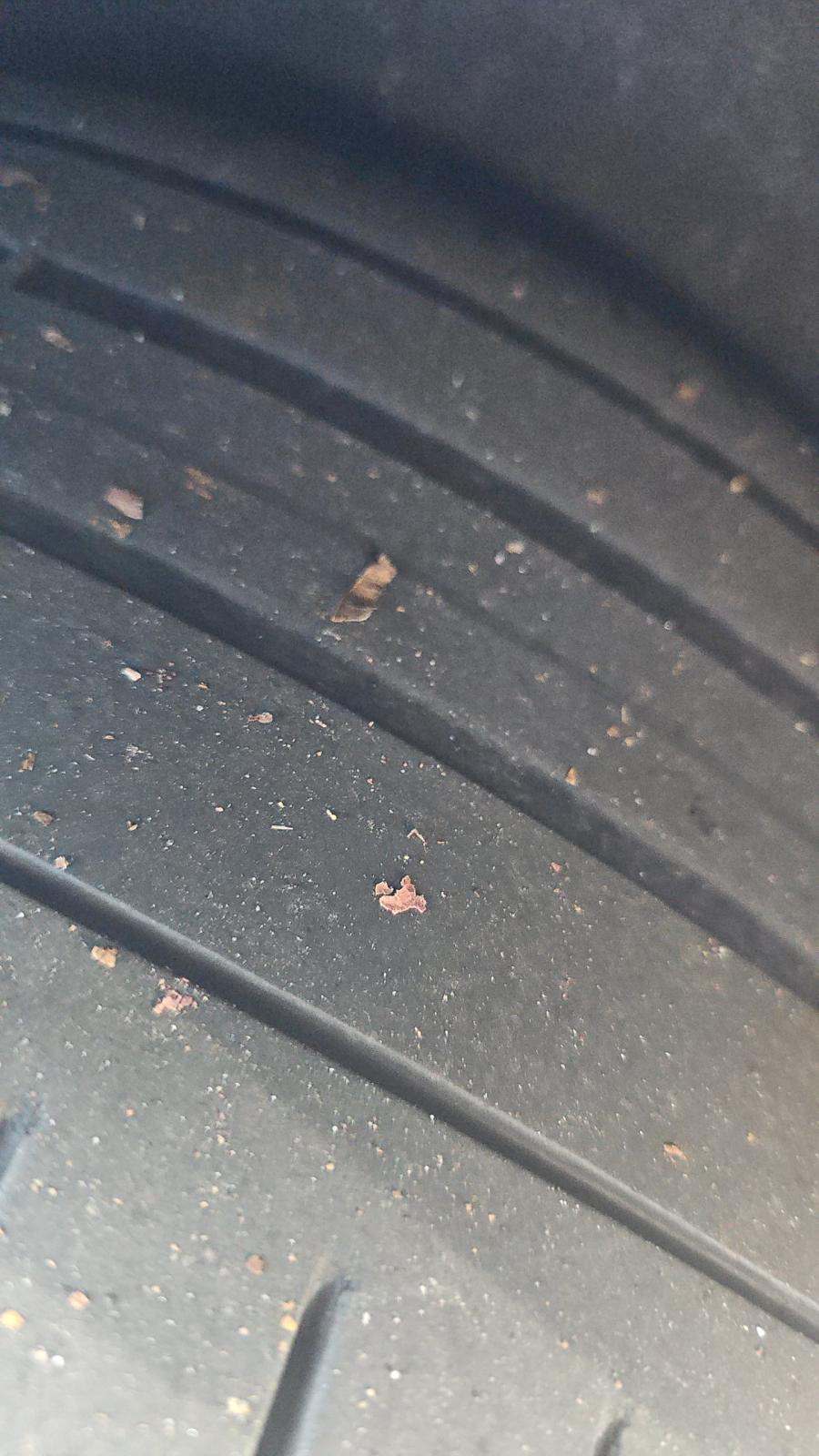 2023 BMW X5 M50i AWD