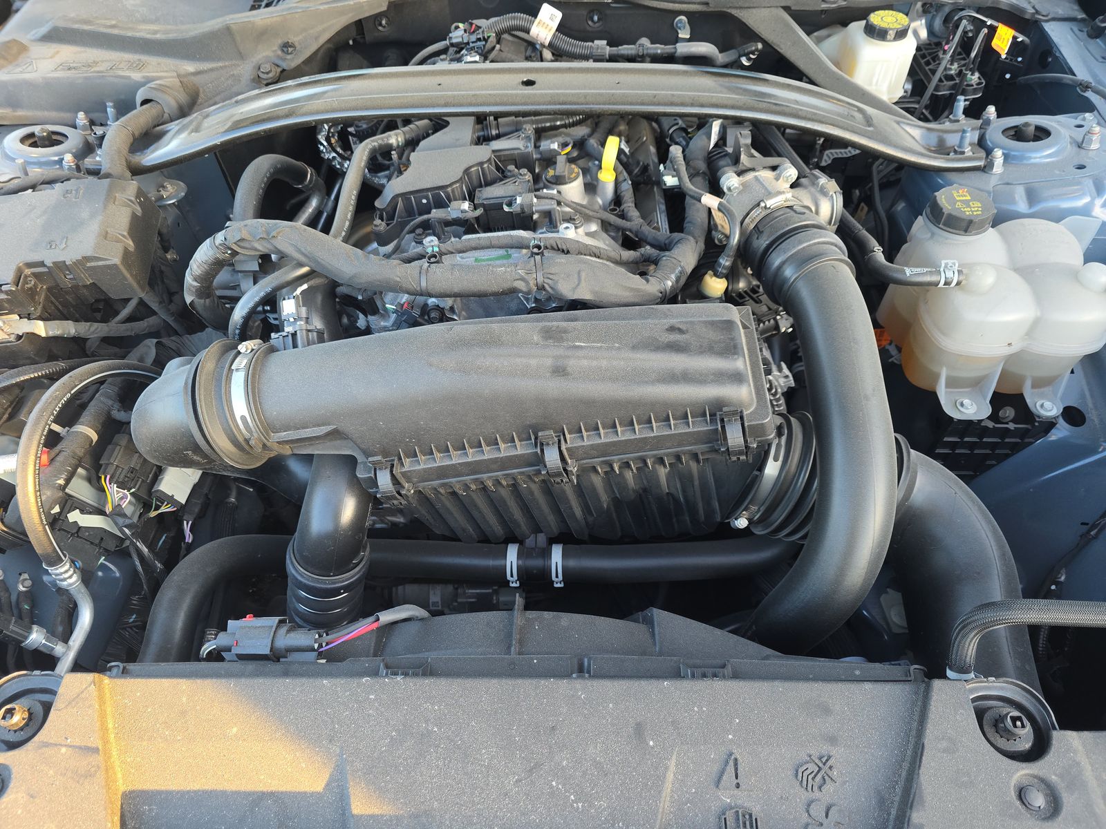 2025 Ford Mustang EcoBoost Premium RWD