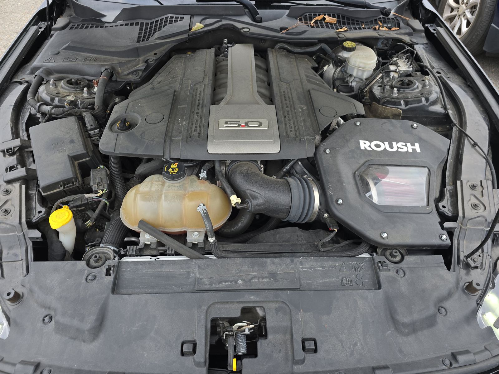 2019 Ford Mustang GT Premium RWD