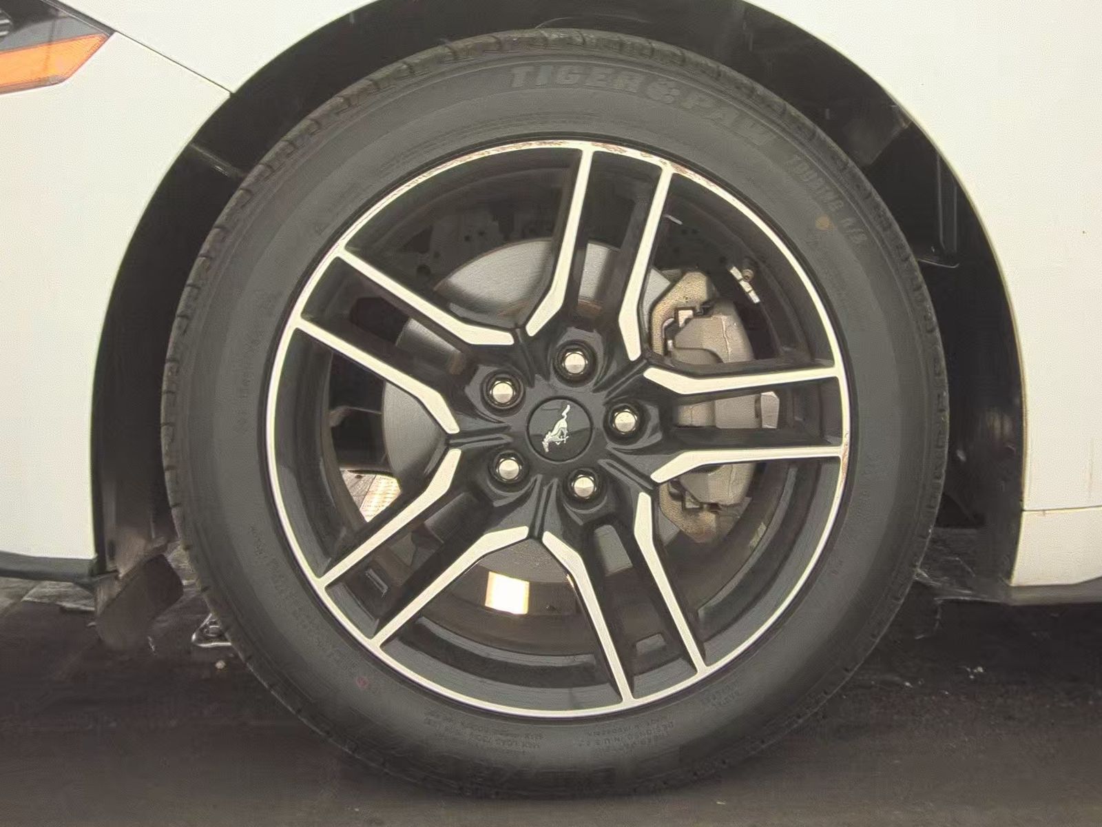 2023 Ford Mustang EcoBoost Premium RWD