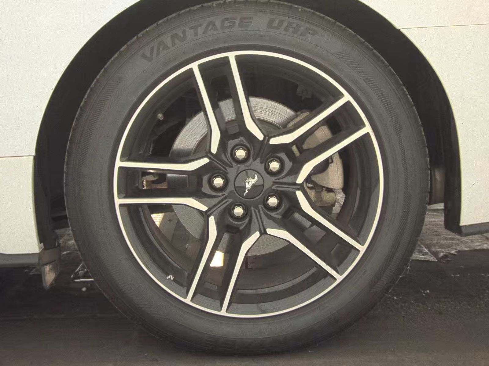 2023 Ford Mustang EcoBoost Premium RWD