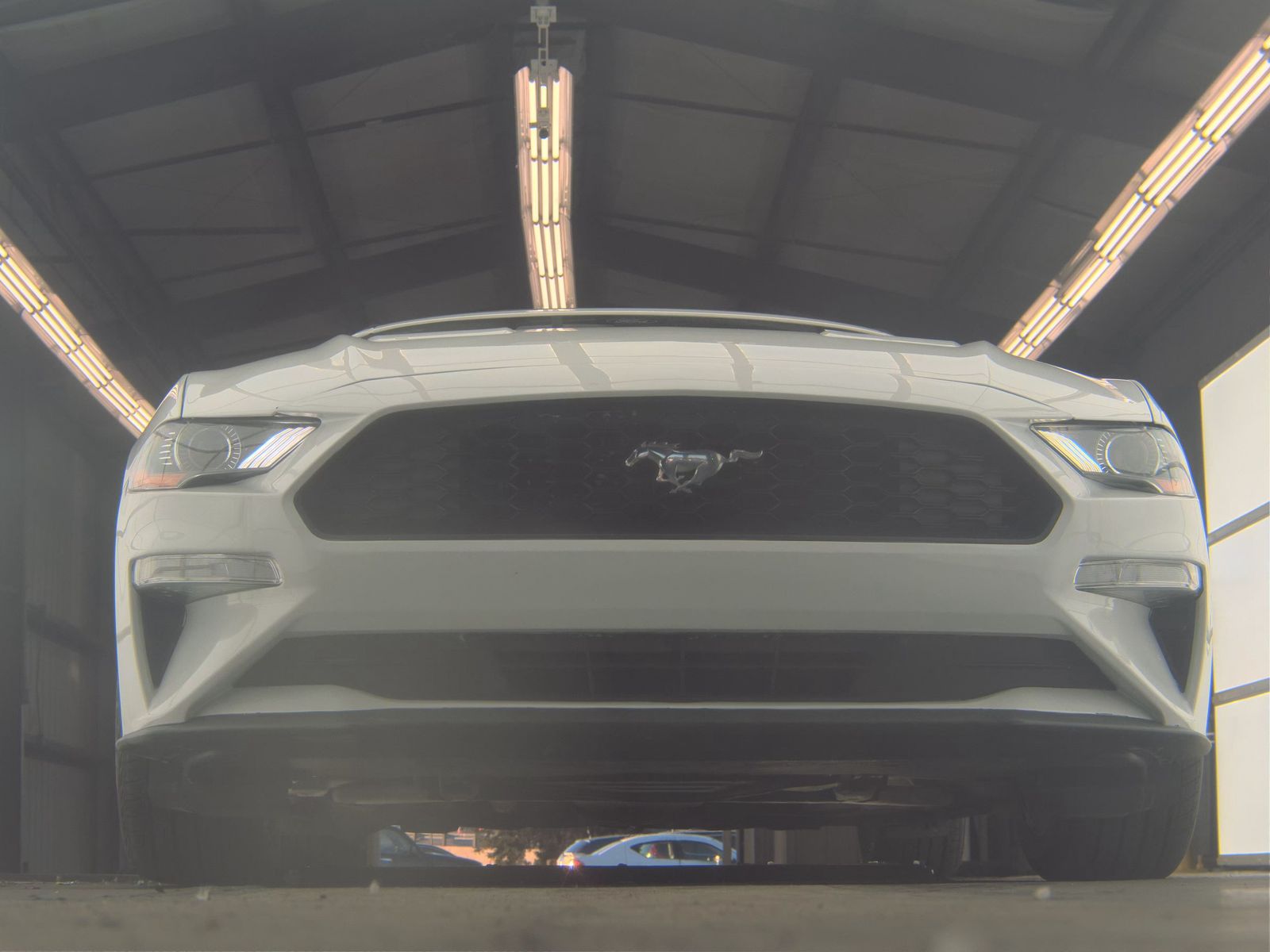 2023 Ford Mustang EcoBoost Premium RWD