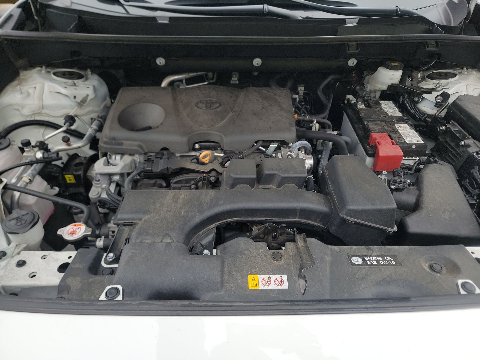 2024 Toyota RAV4 XLE AWD