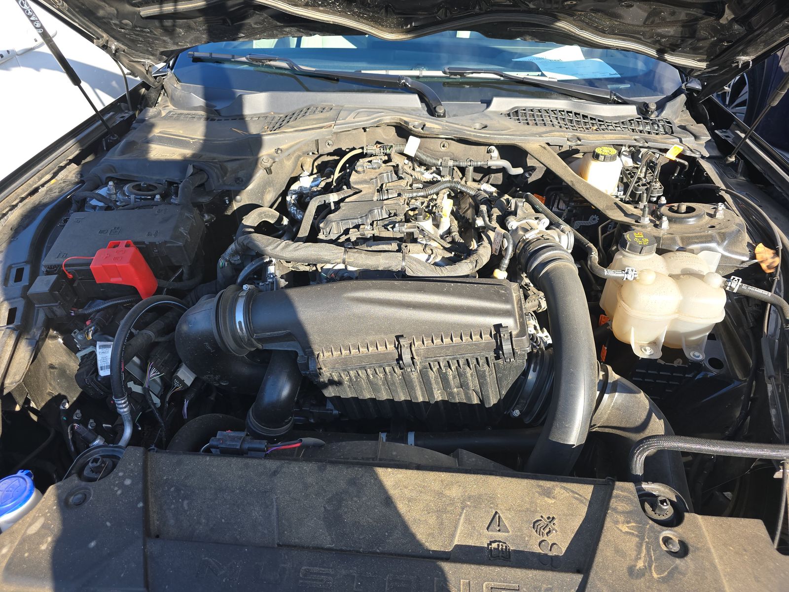 2024 Ford Mustang EcoBoost Premium RWD