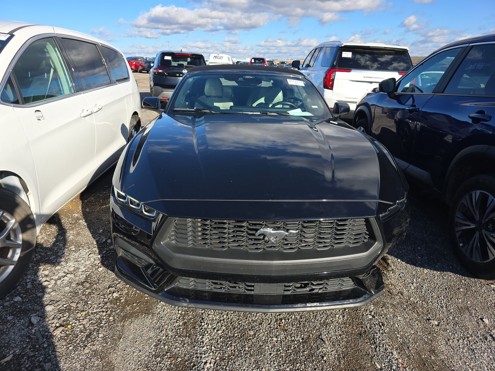 2024 Ford Mustang EcoBoost Premium RWD