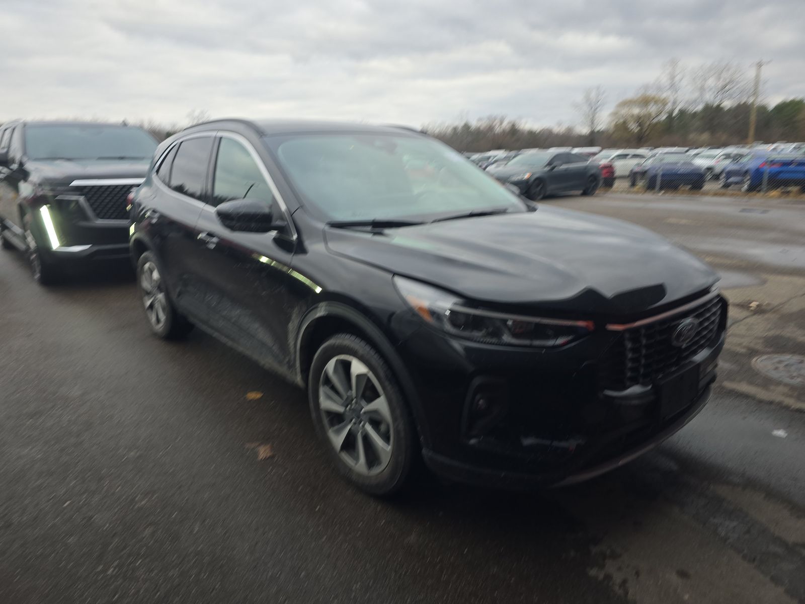 2024 Ford Escape Platinum AWD