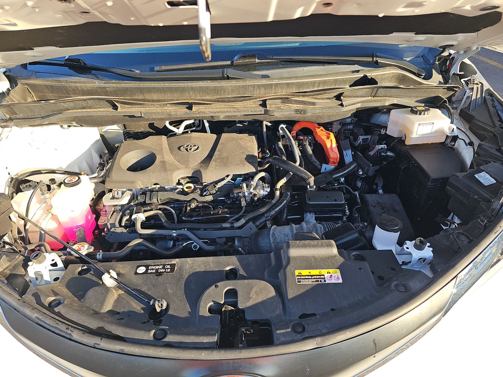 2023 Toyota Sienna LE AWD