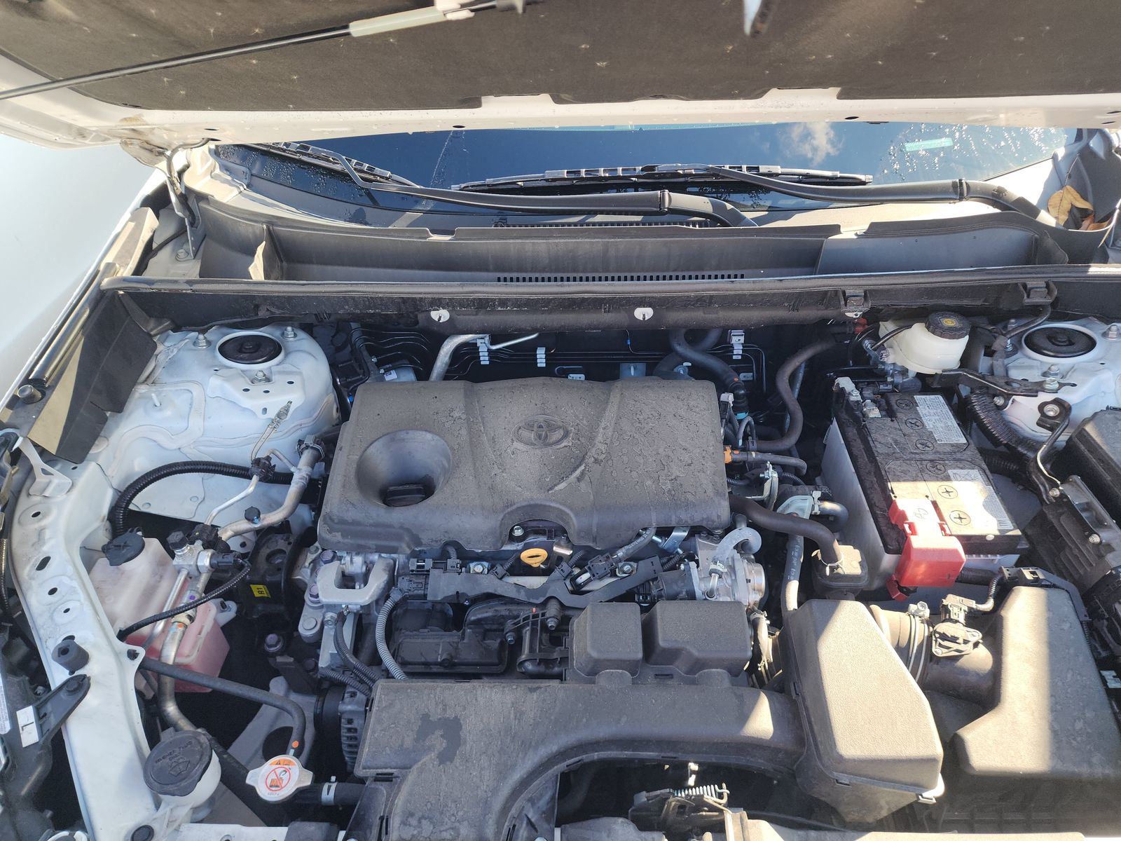 2024 Toyota RAV4 XLE FWD