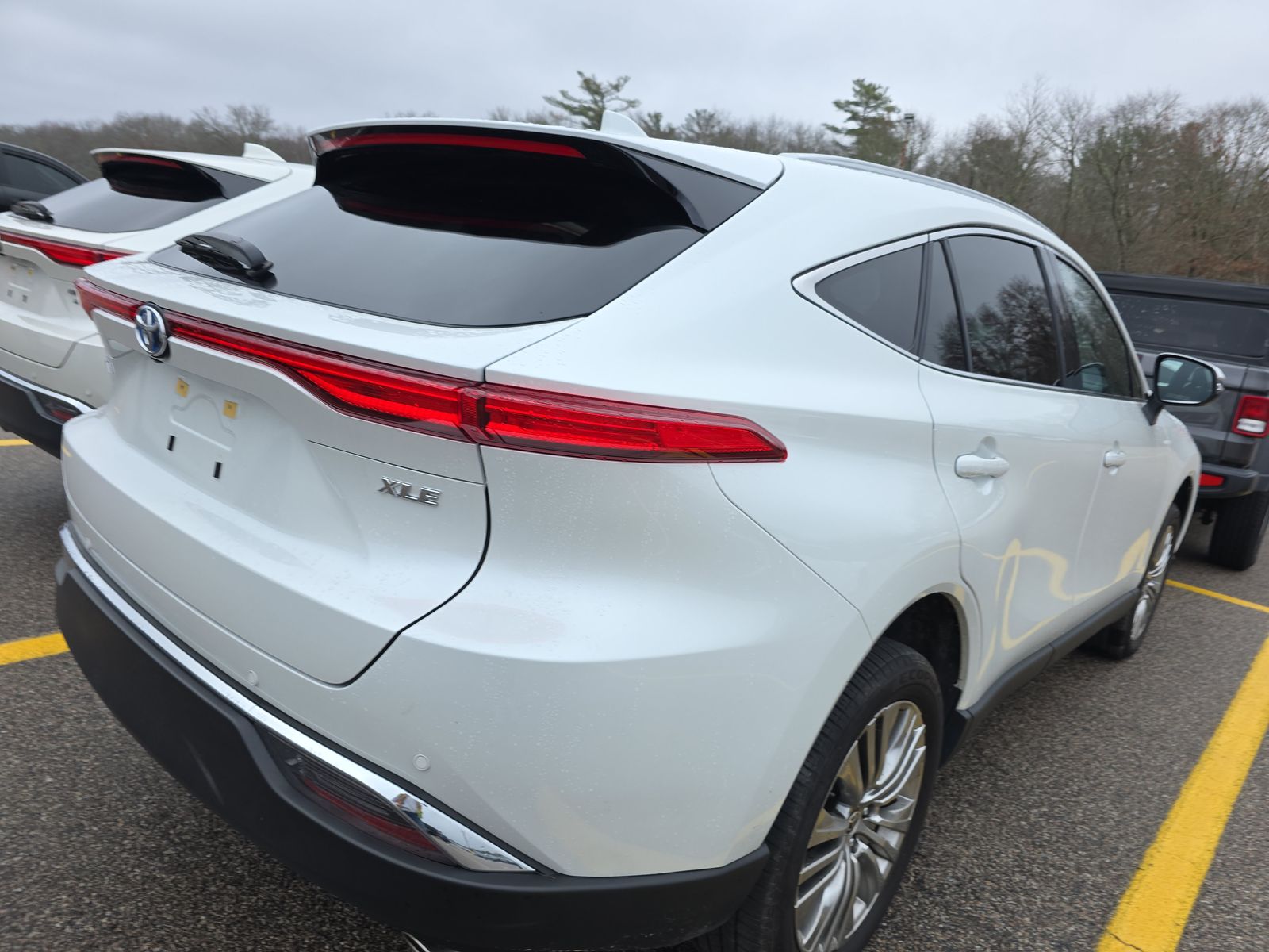 2024 Toyota Venza XLE AWD