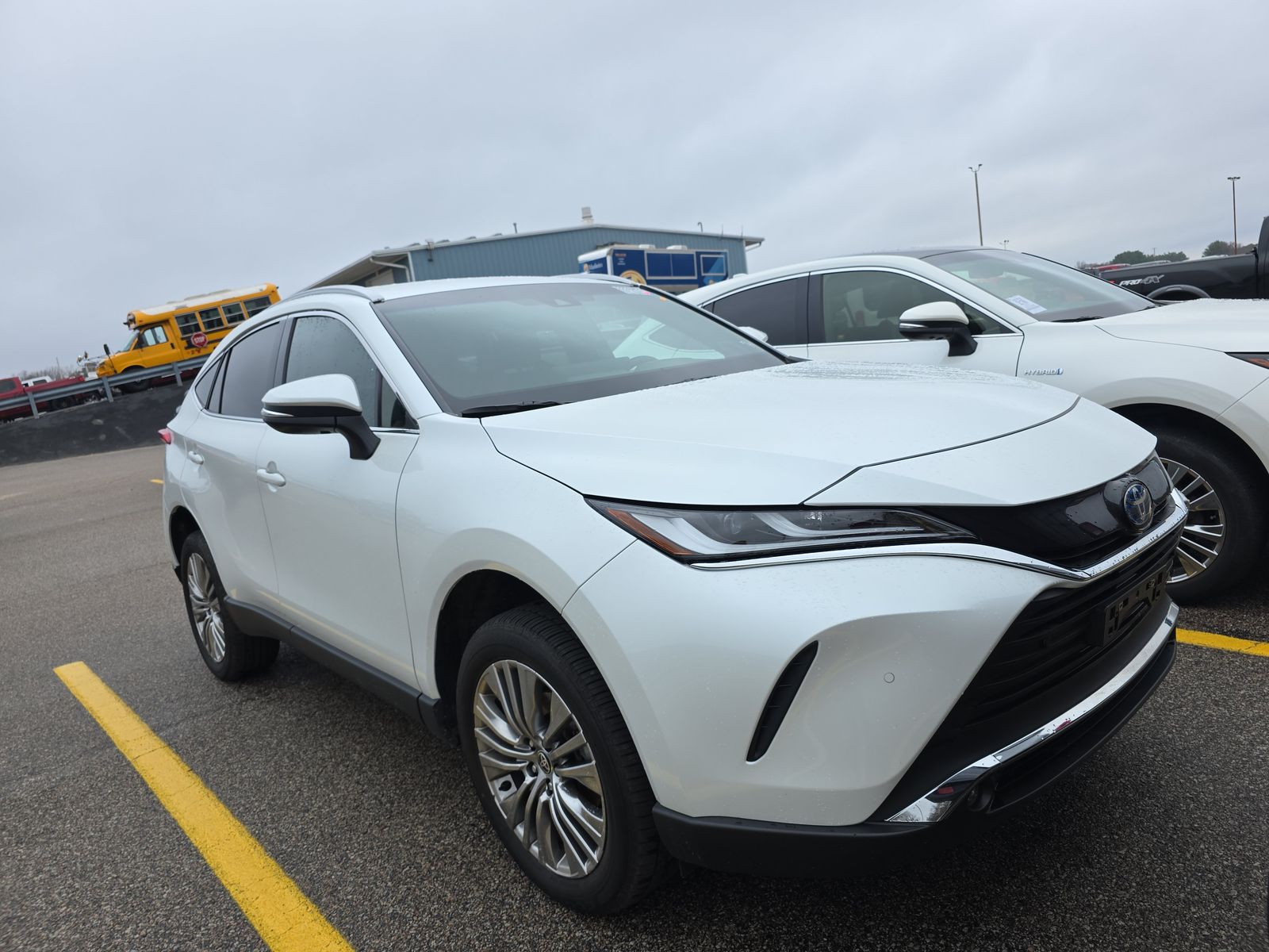 2024 Toyota Venza XLE AWD