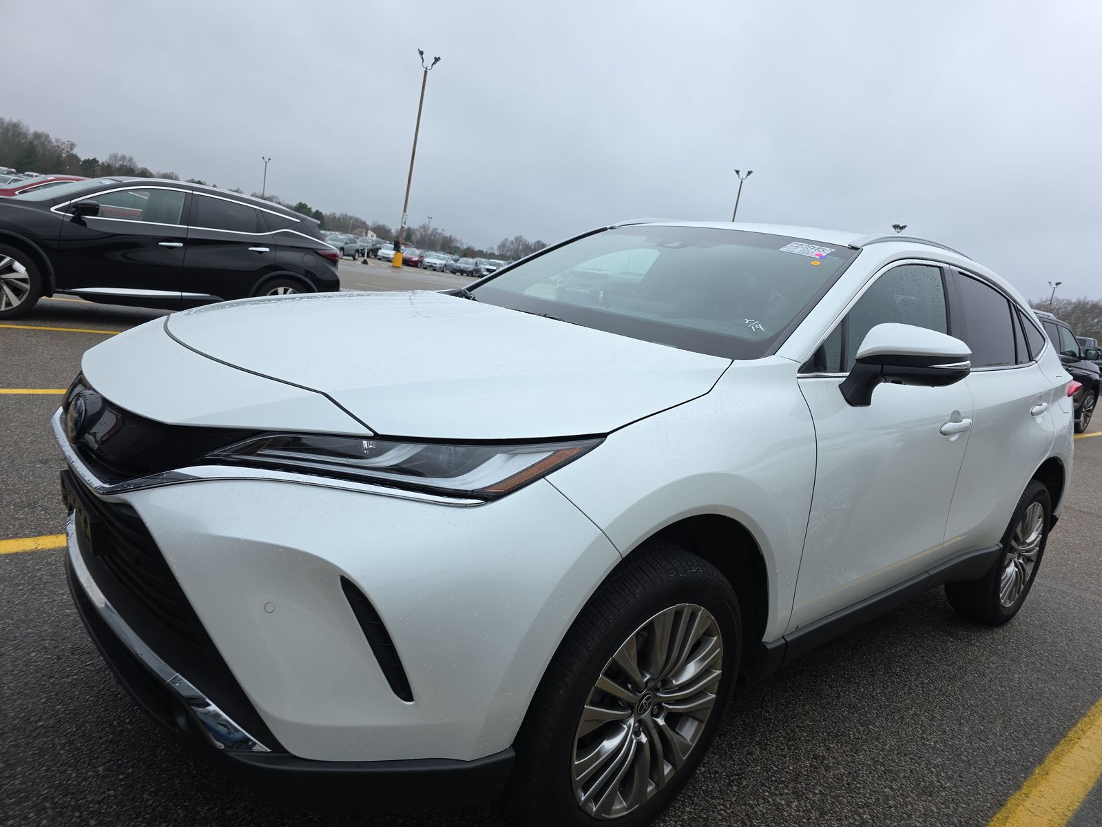 2024 Toyota Venza XLE AWD