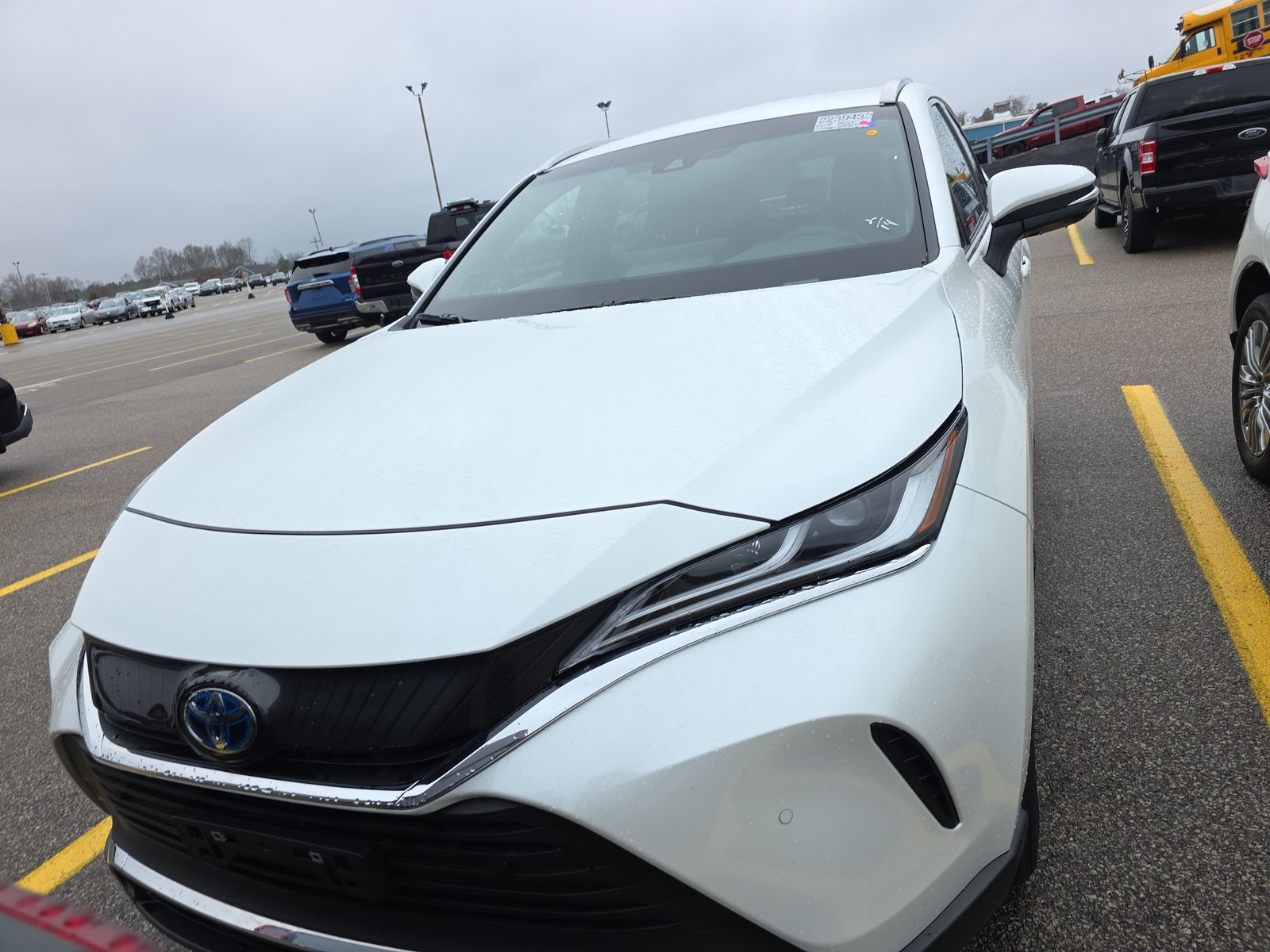 2024 Toyota Venza XLE AWD