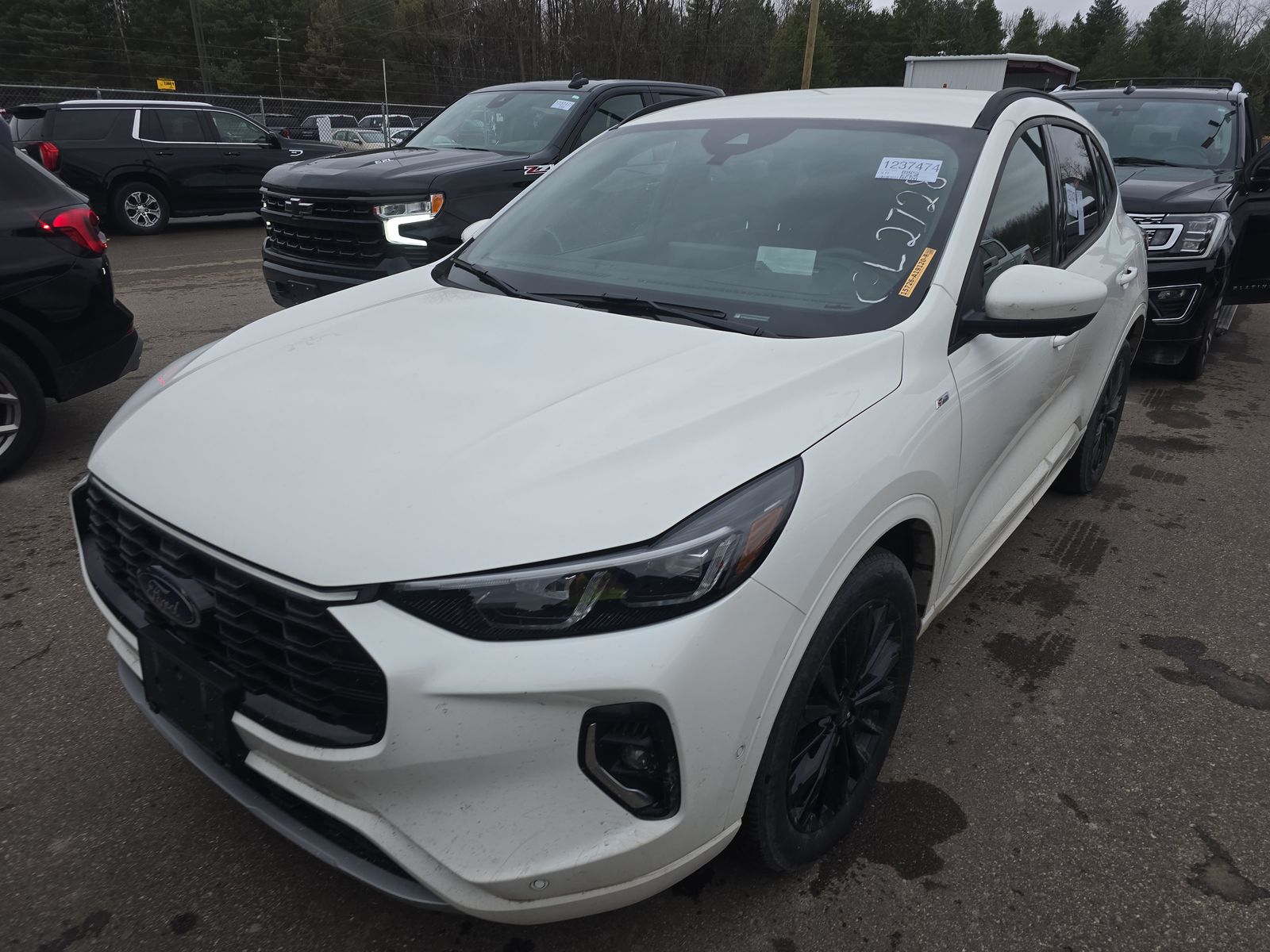 2023 Ford Escape Hybrid ST-Line Elite AWD