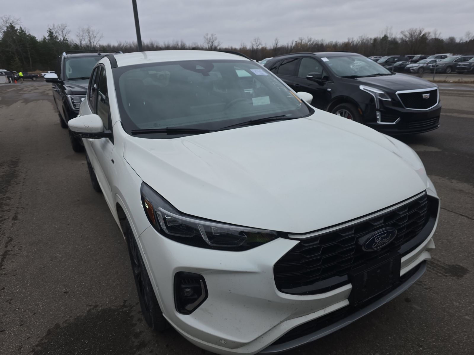 2023 Ford Escape Hybrid ST-Line Elite AWD