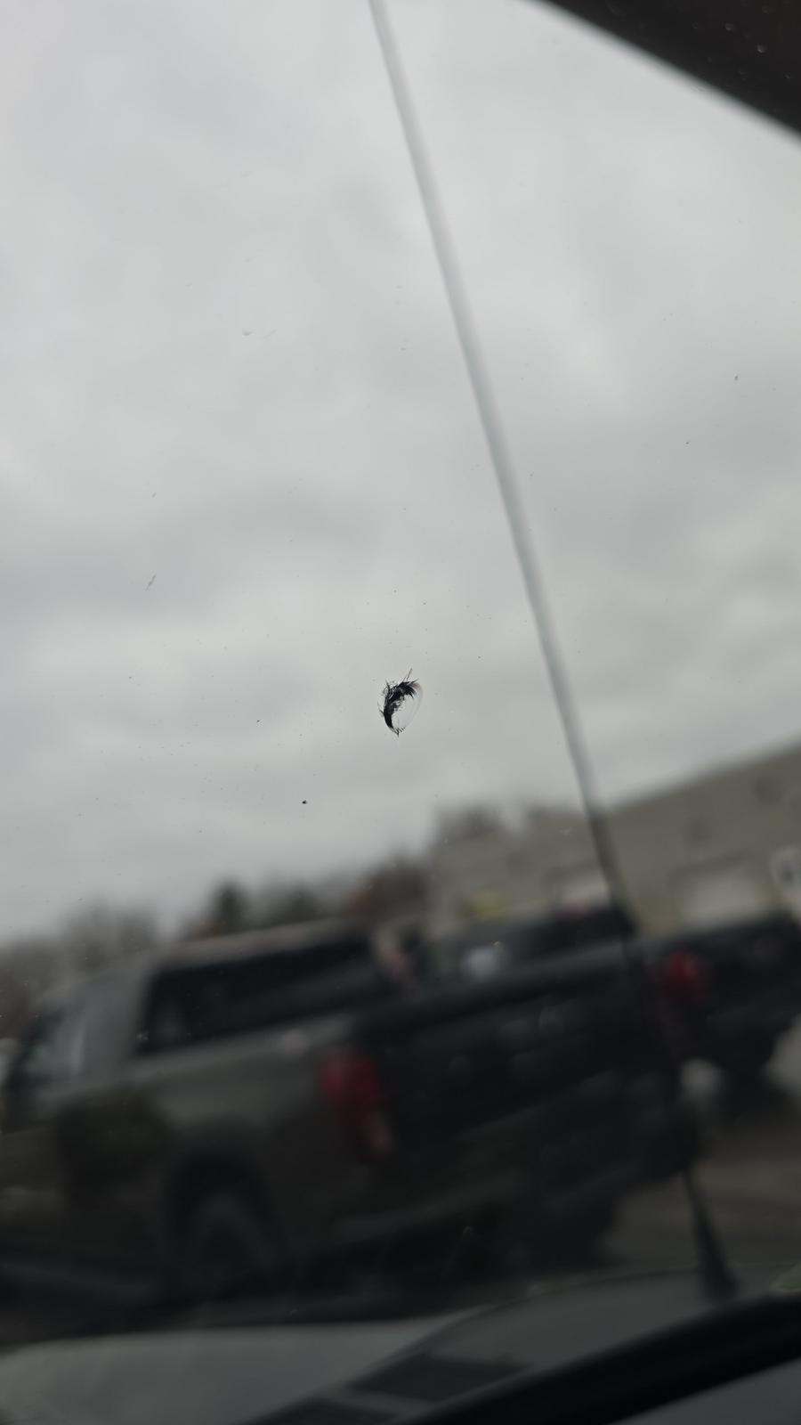 2021 Ford F-150 Hybrid Lariat AWD