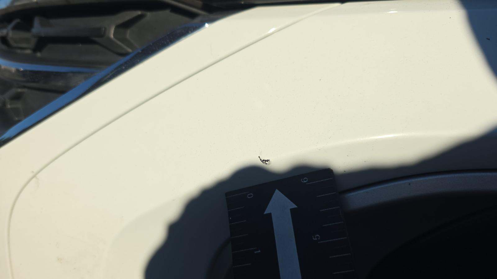 2024 Volkswagen Atlas 2.0T SE AWD