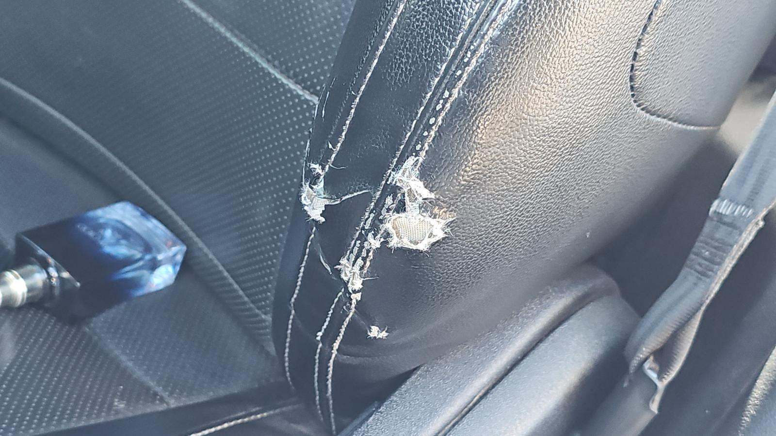 2019 Ford Mustang GT Premium RWD