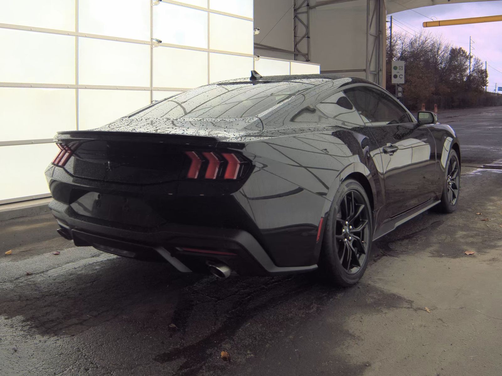 2025 Ford Mustang EcoBoost RWD