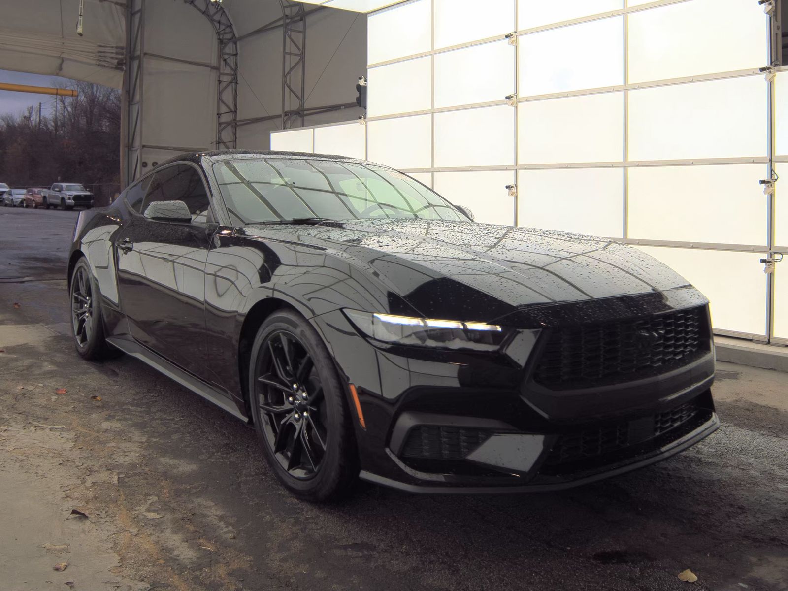 2025 Ford Mustang EcoBoost RWD