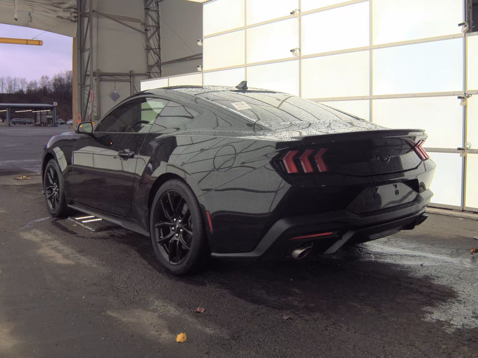2025 Ford Mustang EcoBoost RWD