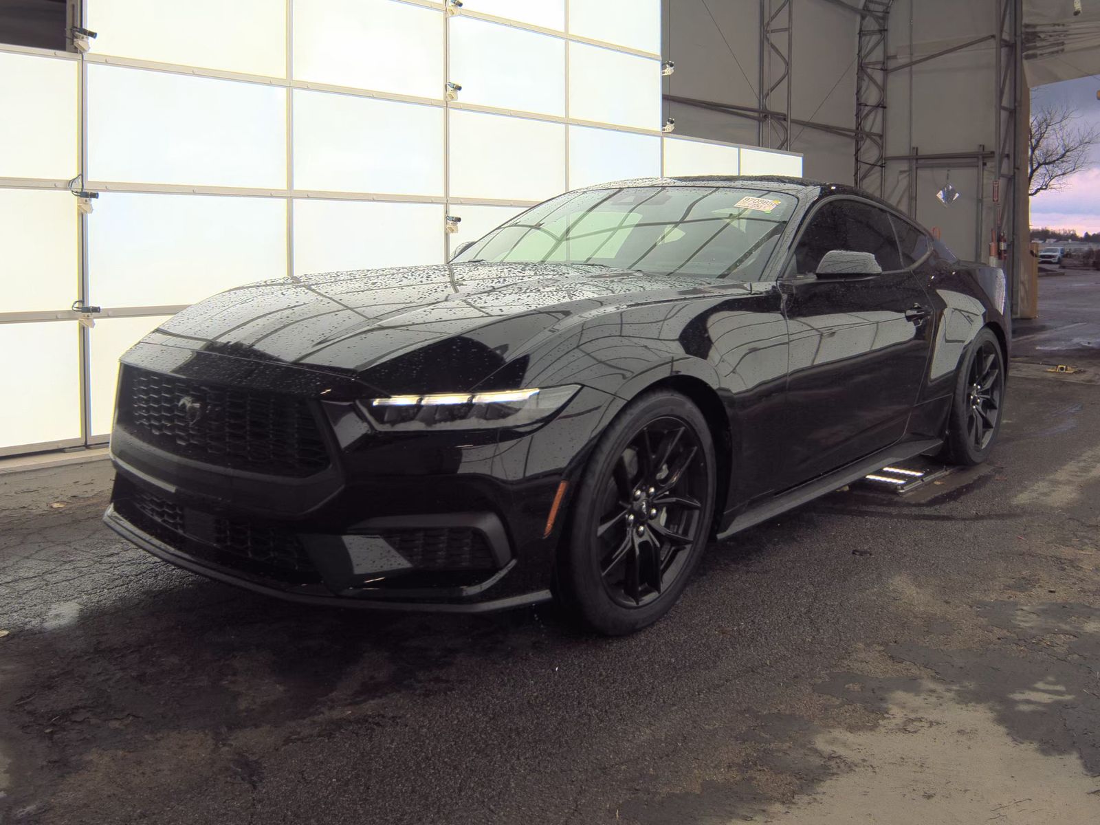 2025 Ford Mustang EcoBoost RWD