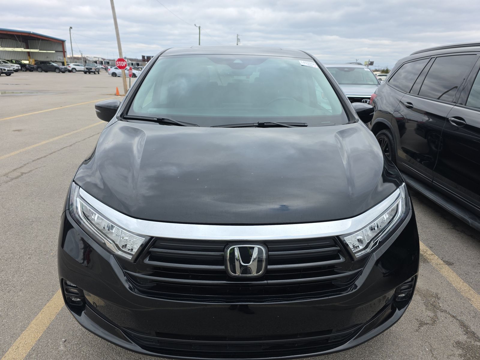 2023 Honda Odyssey Elite FWD