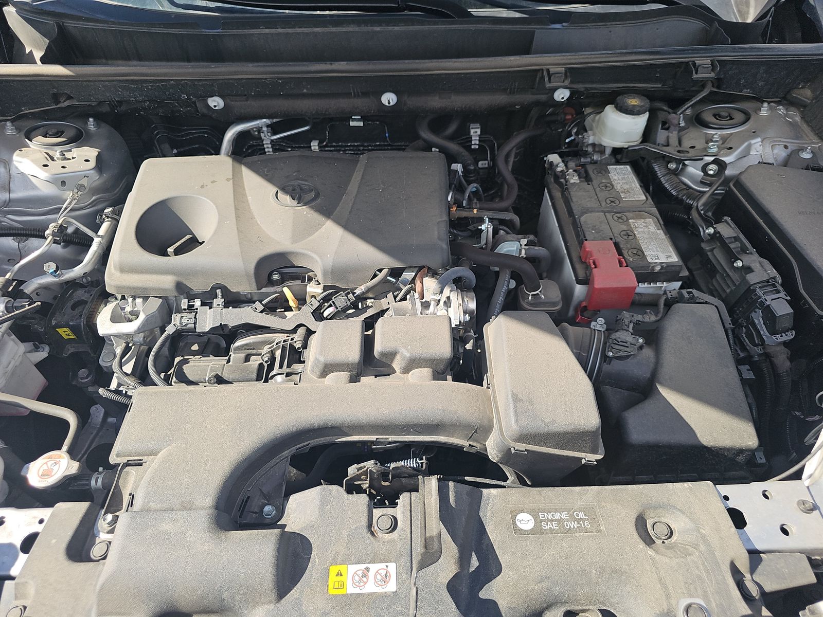 2024 Toyota RAV4 LE AWD