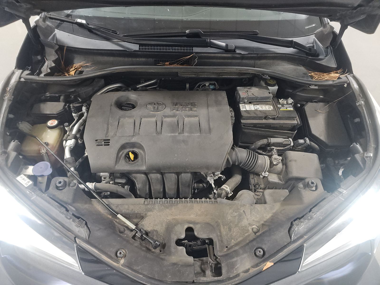 2018 Toyota C-HR XLE Premium FWD