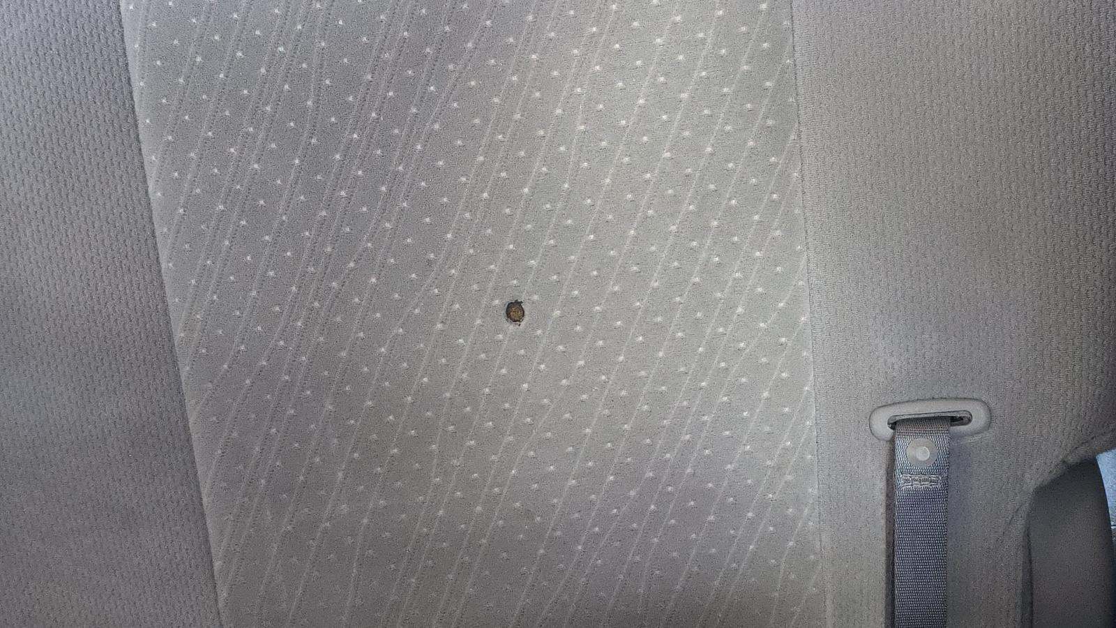 2019 Toyota Sienna LE FWD