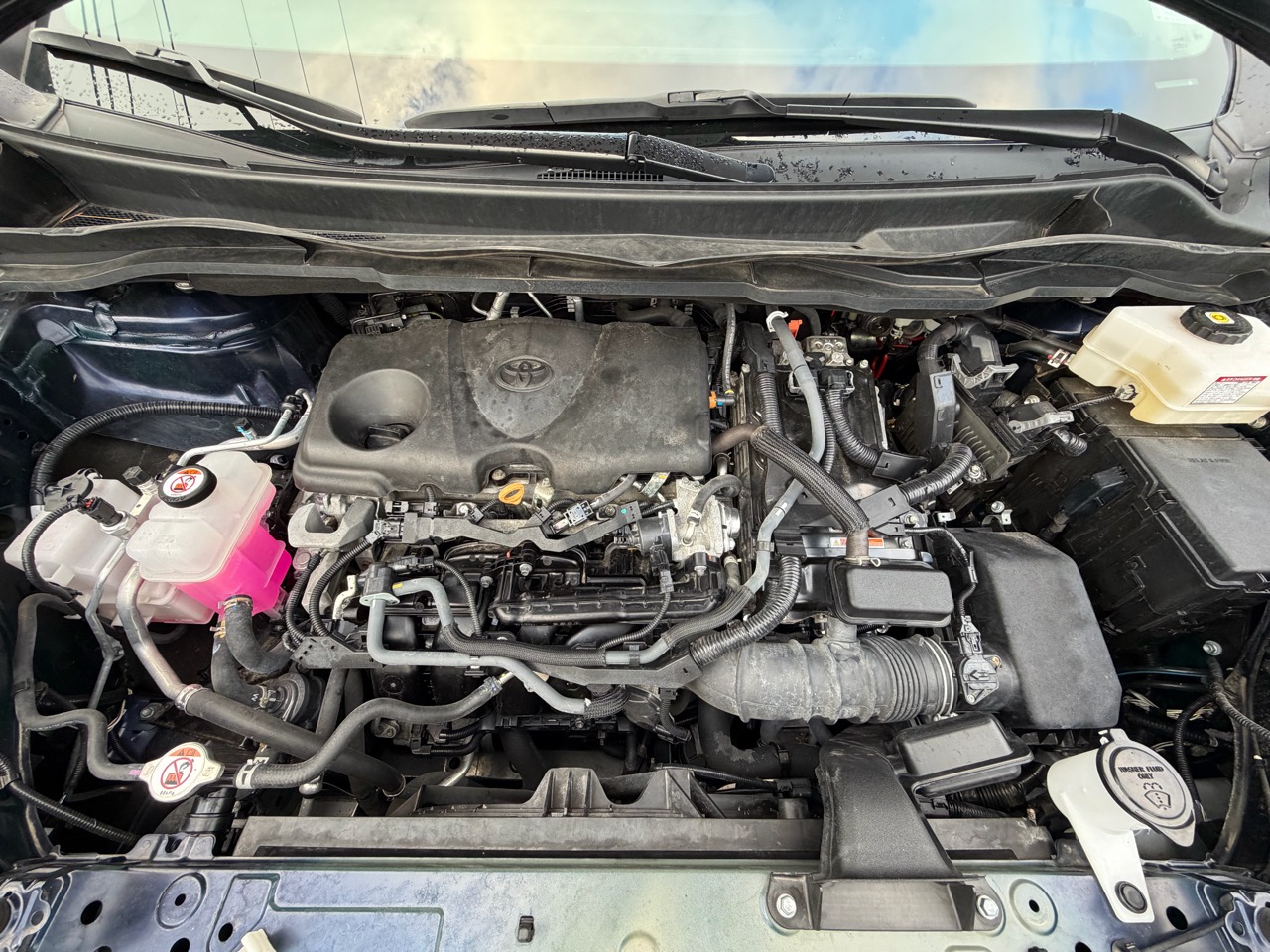 2024 Toyota Sienna XLE FWD