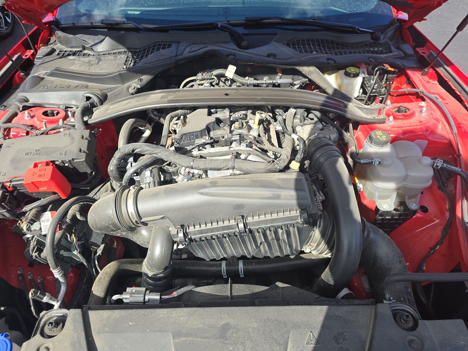 2025 Ford Mustang EcoBoost Premium RWD