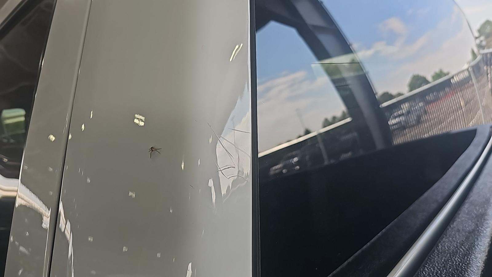 2021 Ford F-150 XLT AWD