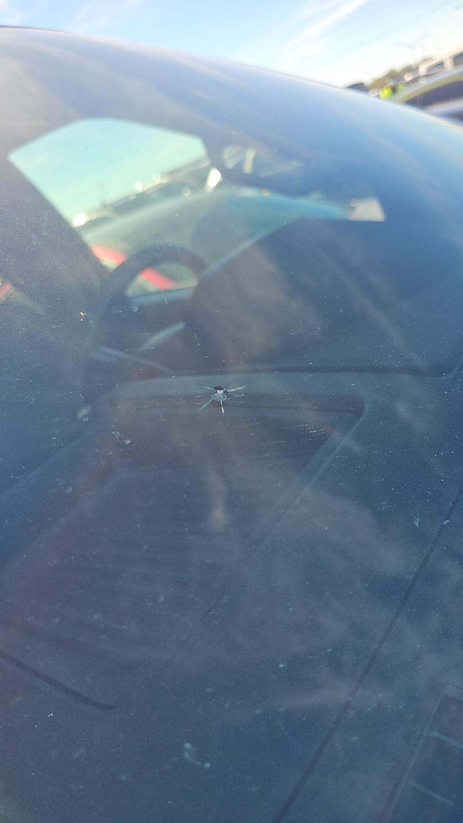 2019 Ford F-150 XLT AWD