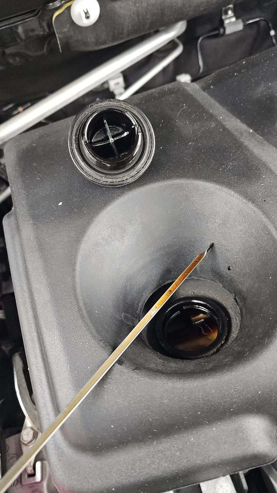 2021 Toyota Venza Limited AWD