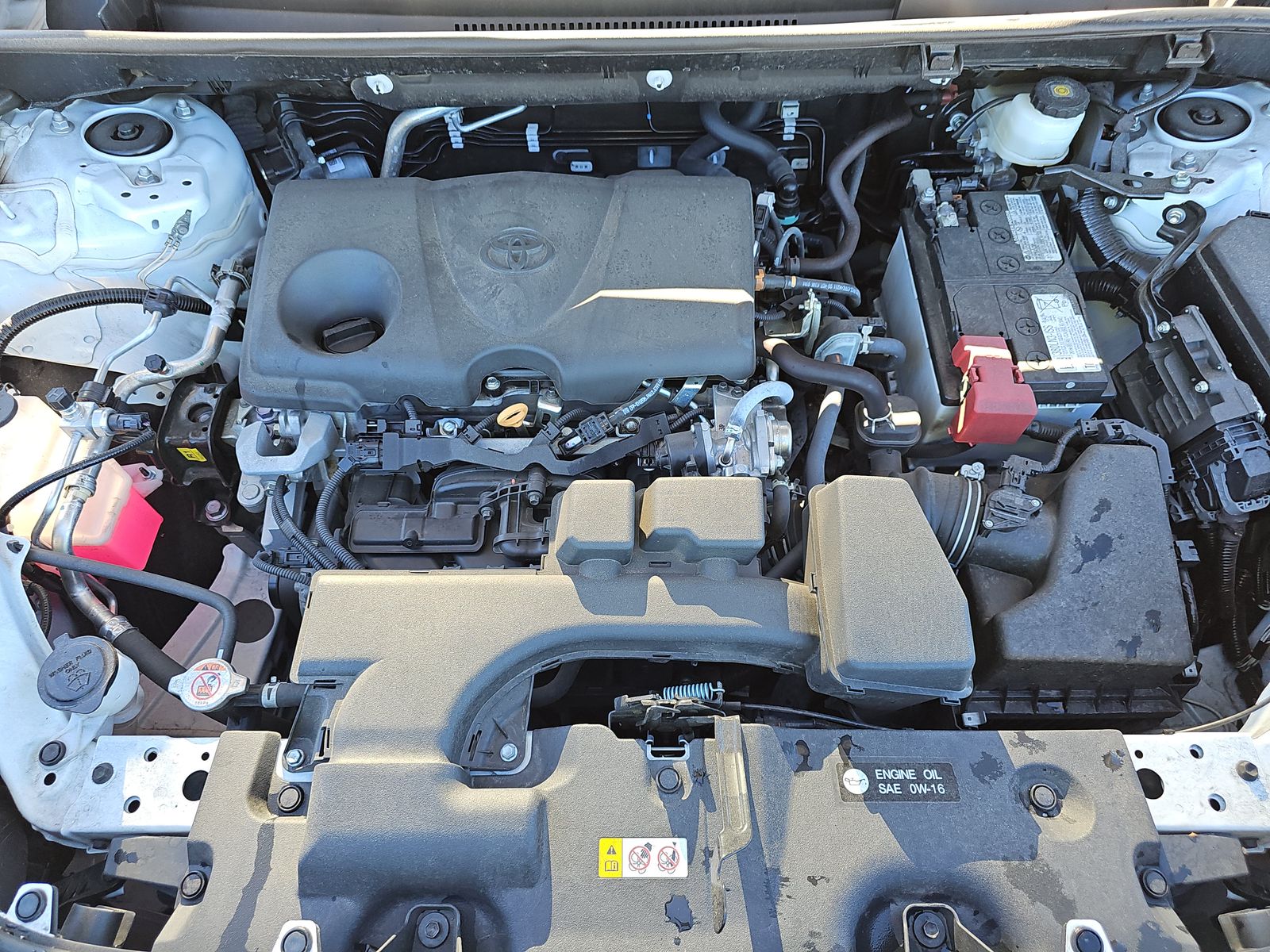 2024 Toyota RAV4 LE AWD