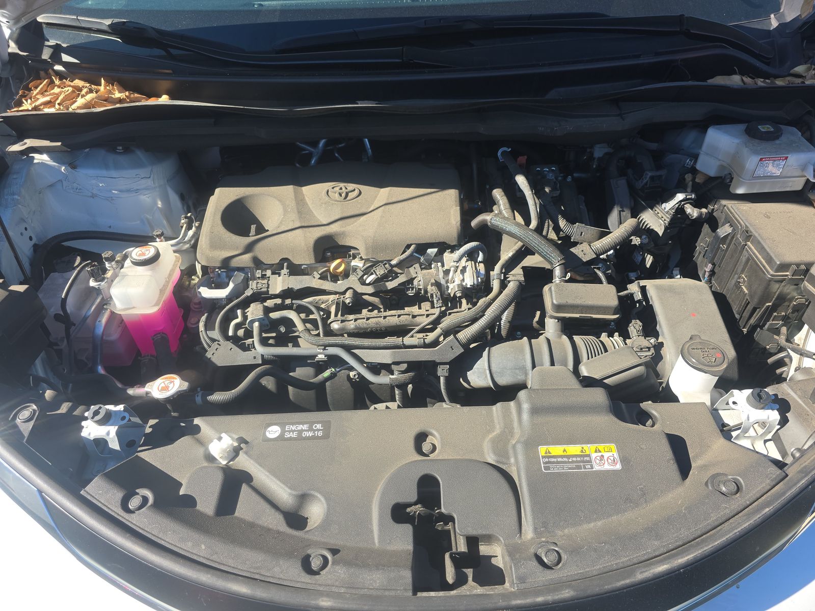 2023 Toyota Sienna XLE FWD