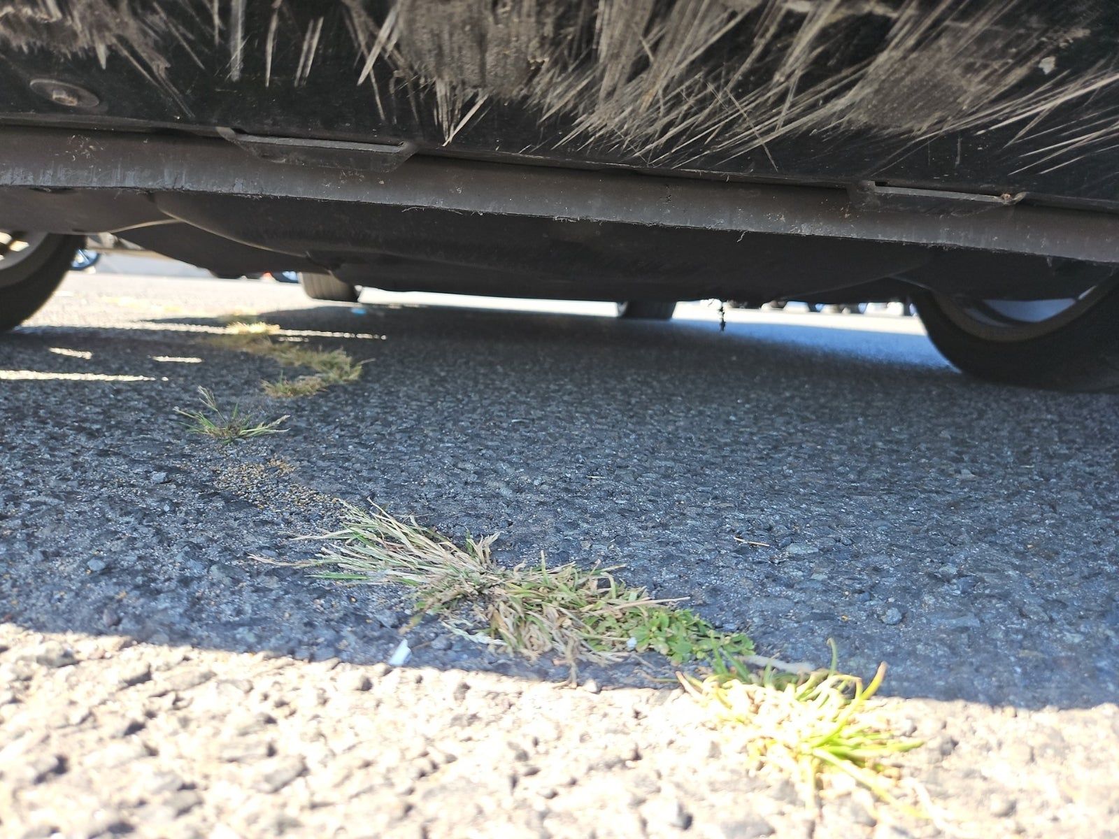 2023 Dodge Charger Scat Pack RWD