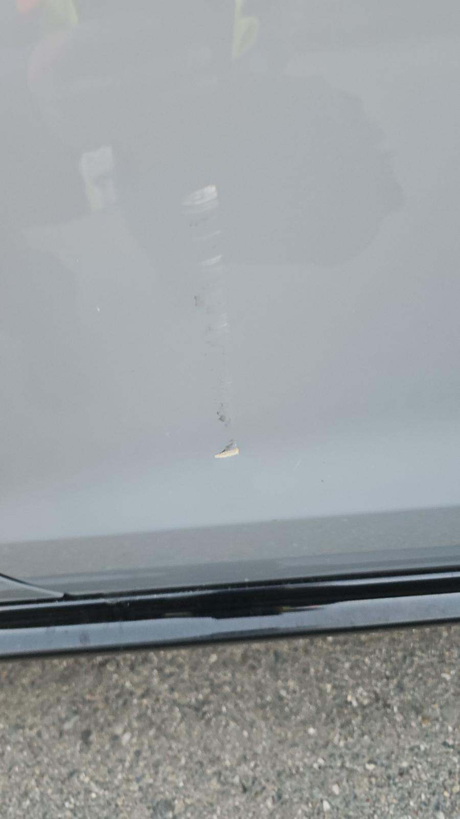 2025 Honda Accord Hybrid Sport-L FWD