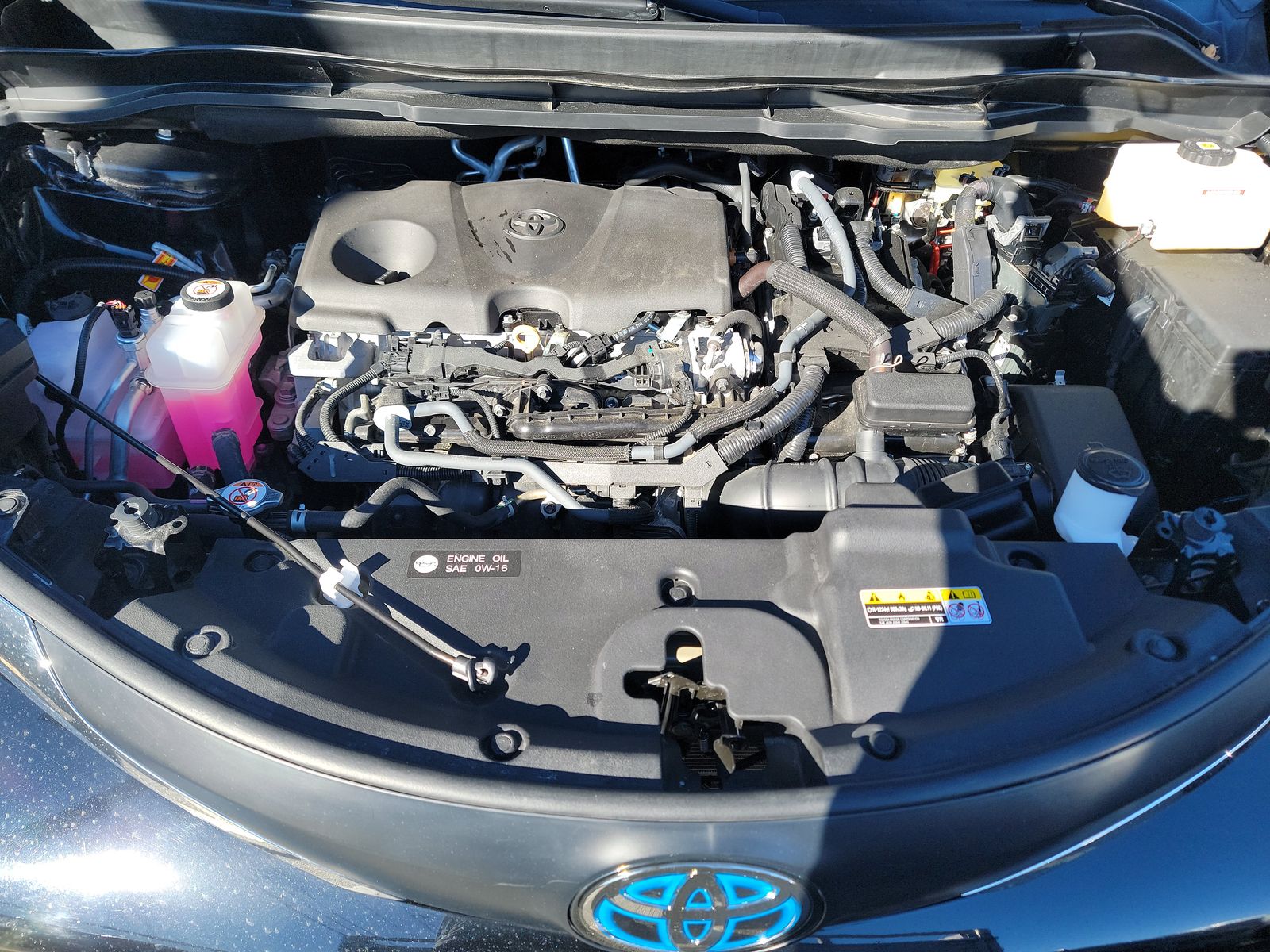 2025 Toyota Sienna LE FWD