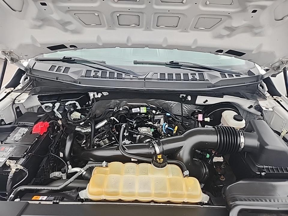 2020 Ford F-150 XL RWD