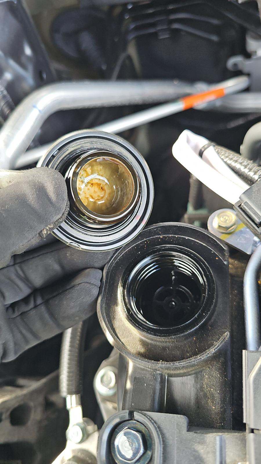 2025 Honda Accord SE FWD