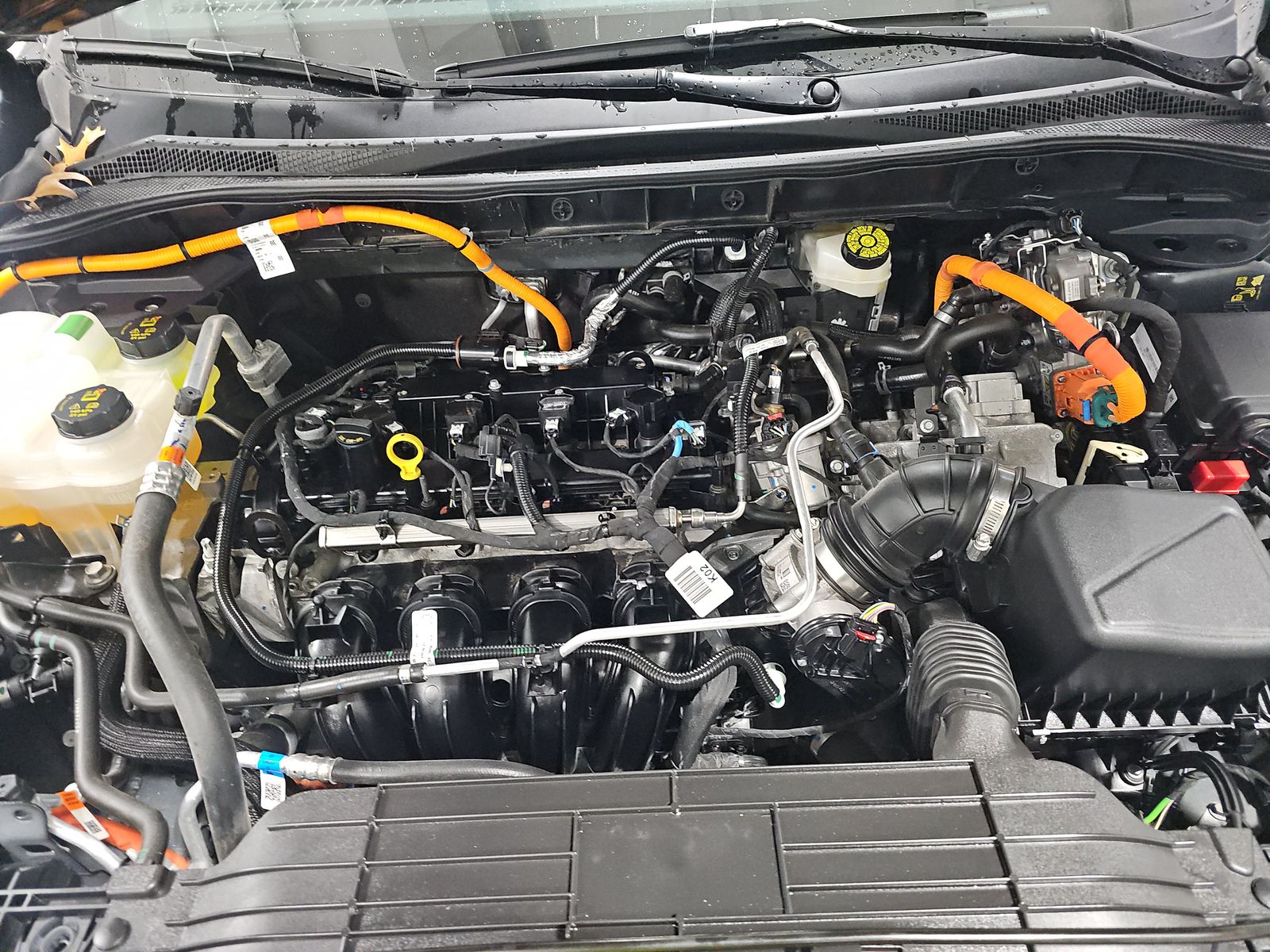 2025 Ford Escape Hybrid ST-Line Elite AWD