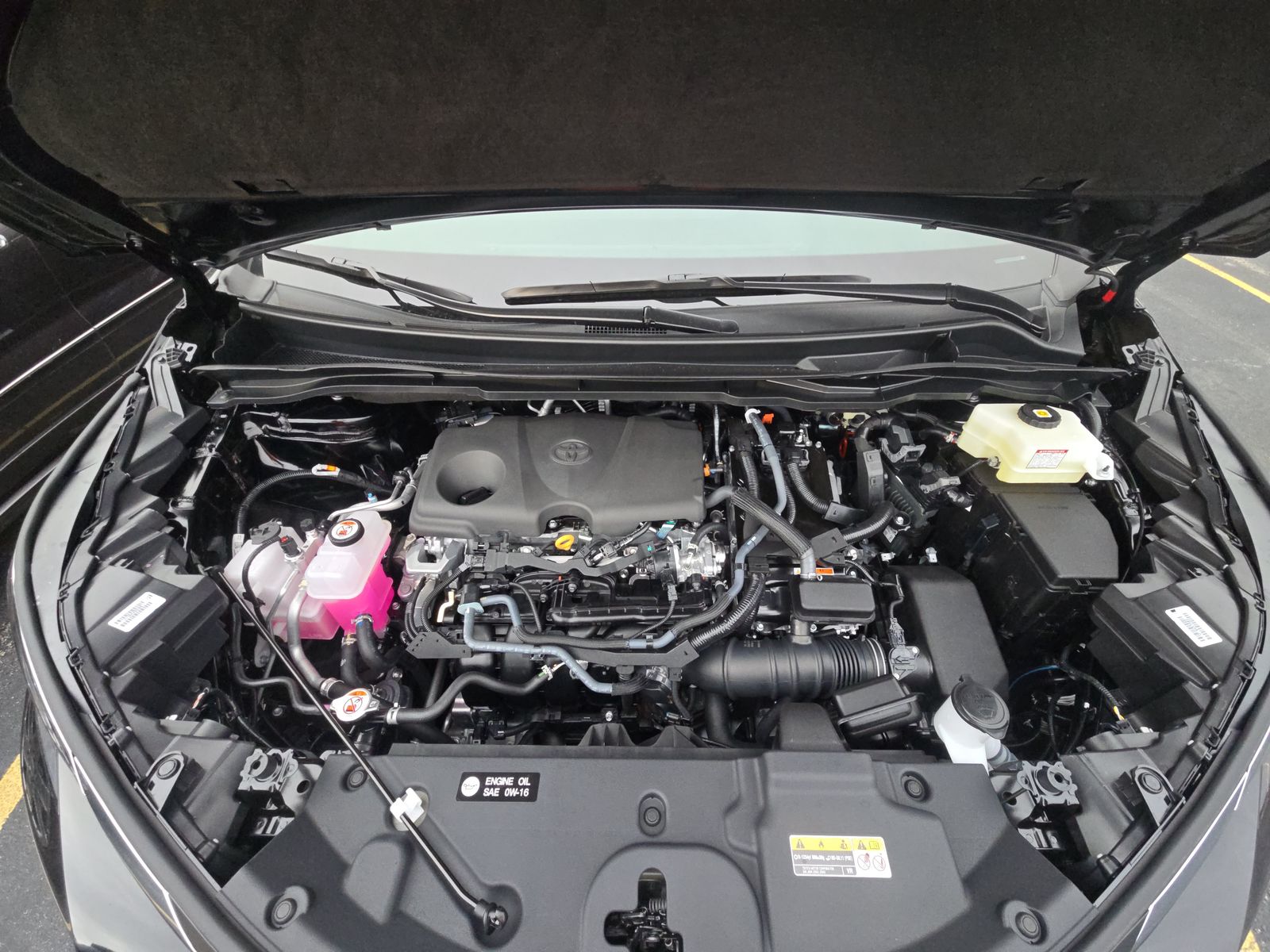 2025 Toyota Sienna XLE FWD