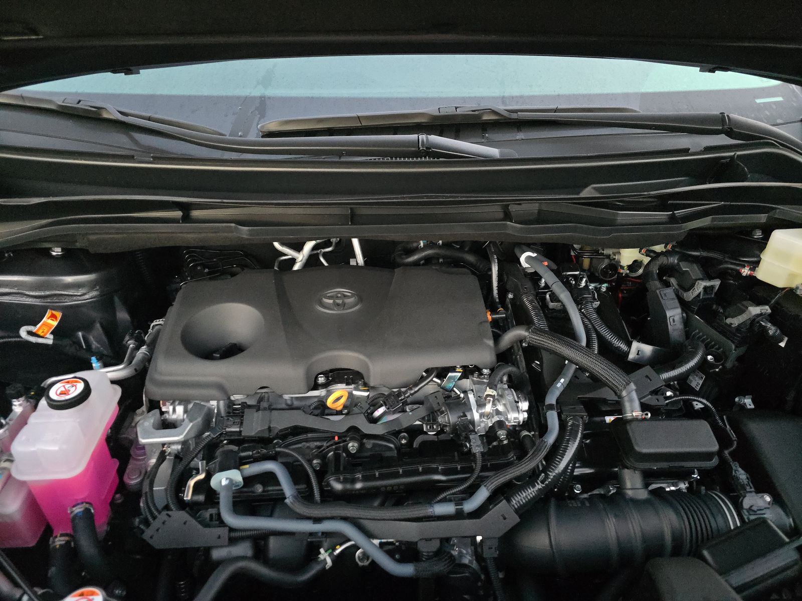 2025 Toyota Sienna XLE FWD