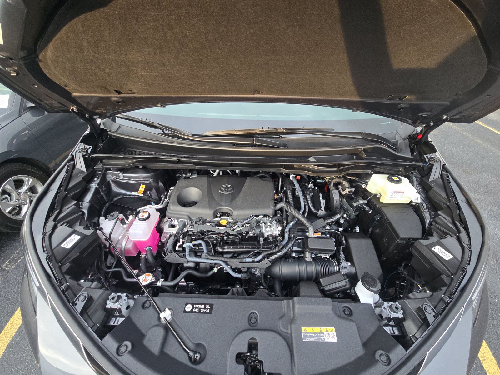 2025 Toyota Sienna Limited FWD