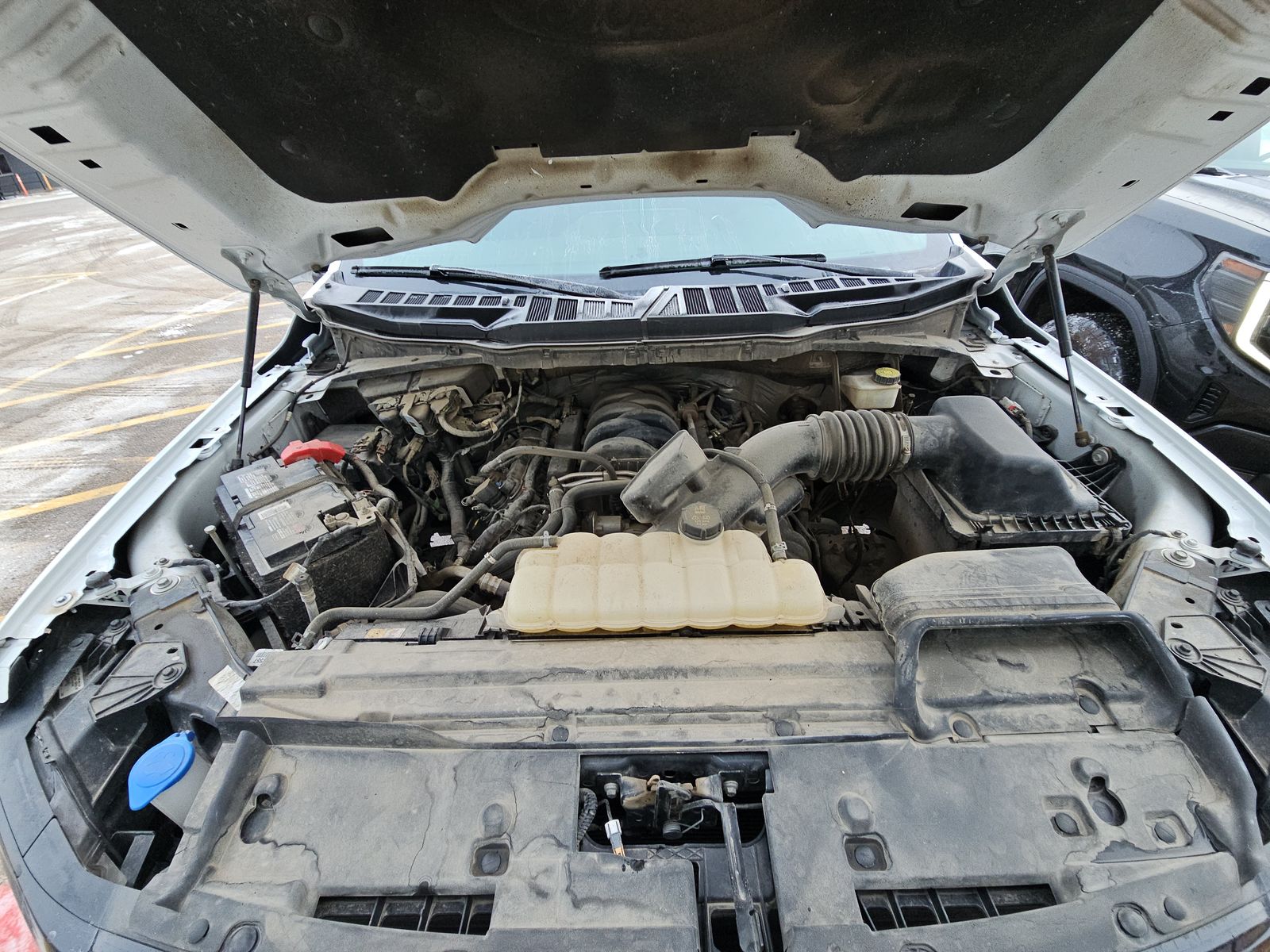 2024 Ford F-150 XLT AWD