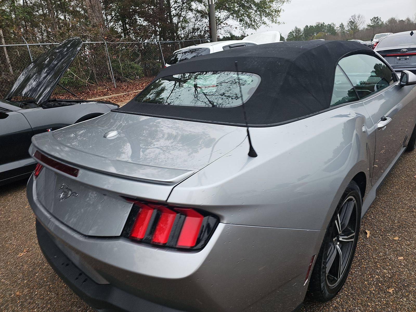 2024 Ford Mustang EcoBoost Premium RWD