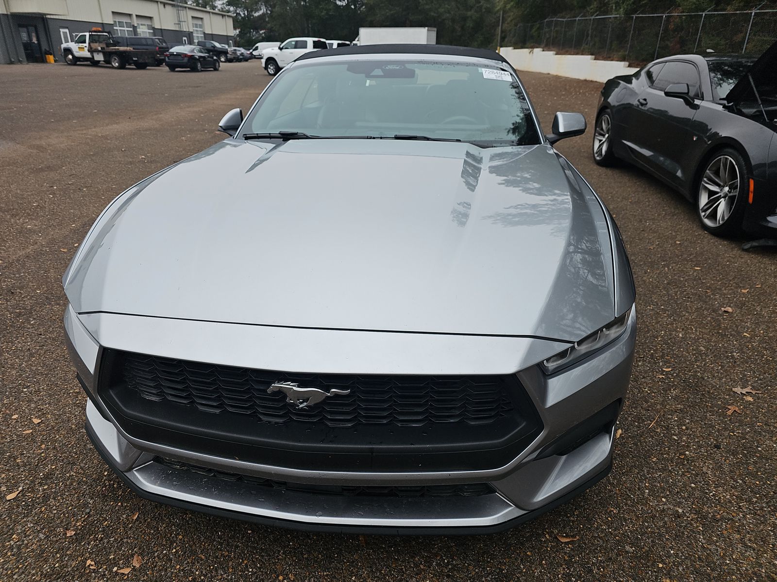 2024 Ford Mustang EcoBoost Premium RWD