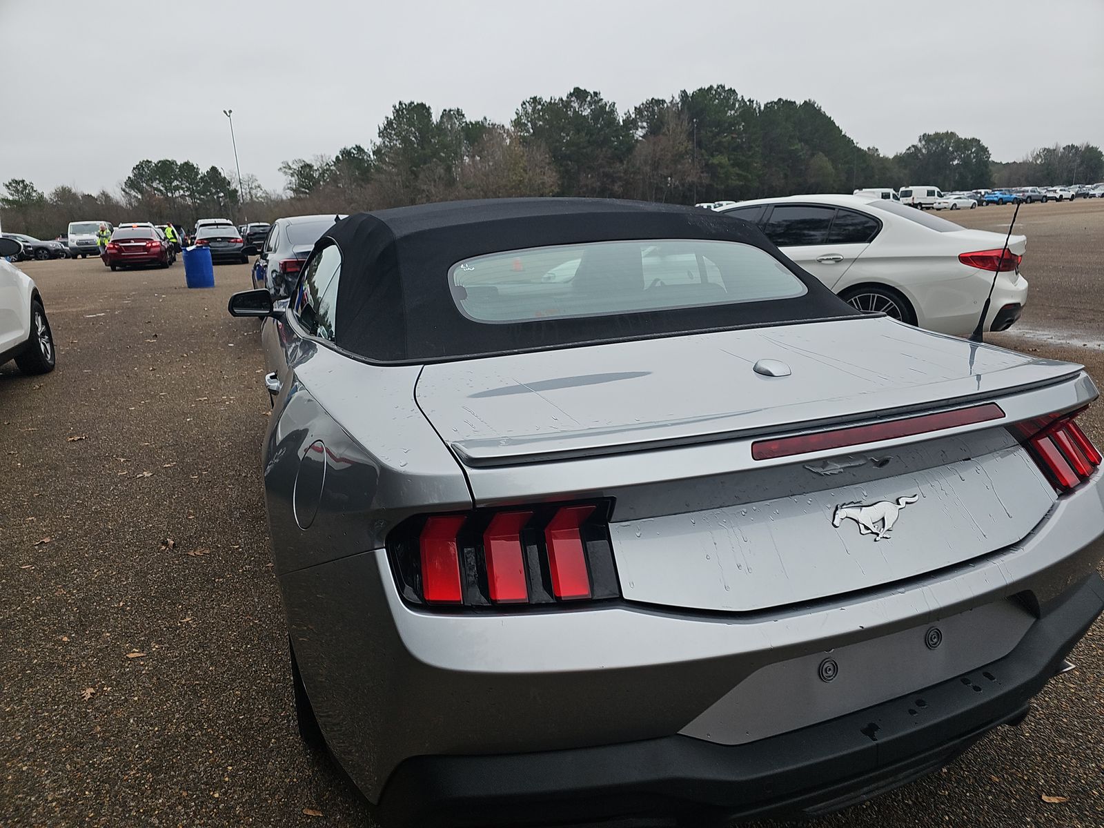 2024 Ford Mustang EcoBoost Premium RWD